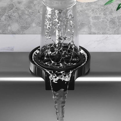 Lave-verre professionnel
